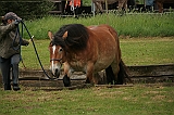 IMG_1957