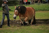 IMG_1958