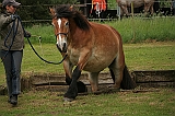 IMG_1959