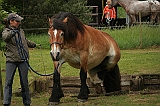 IMG_1960
