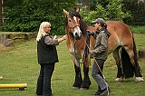 IMG_1963