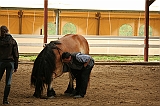 IMG_2092