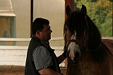 IMG_2175