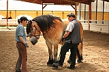 IMG_2205