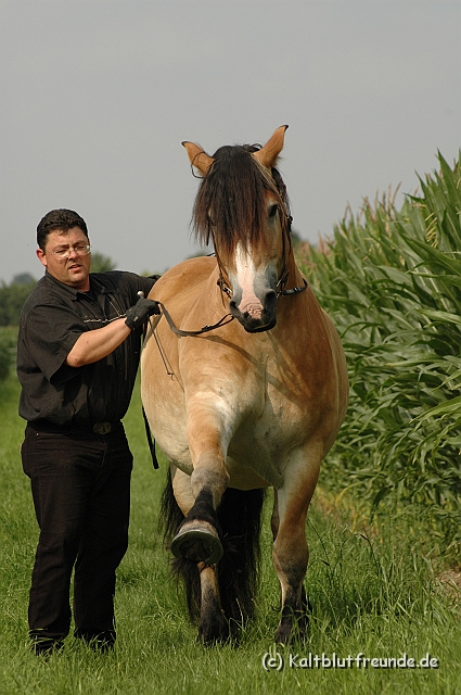 Dirk_7654.jpg - Texel PETRA !)))