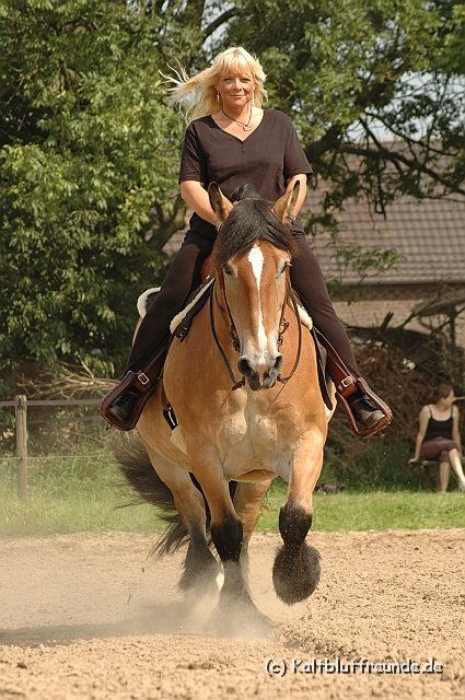 7450.JPG - Texel PETRA !)))