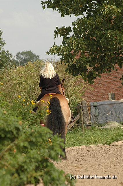 DSC_7390.JPG - Texel PETRA !)))