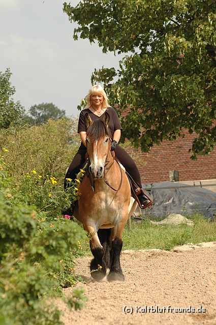 DSC_7395.JPG - Texel PETRA !)))