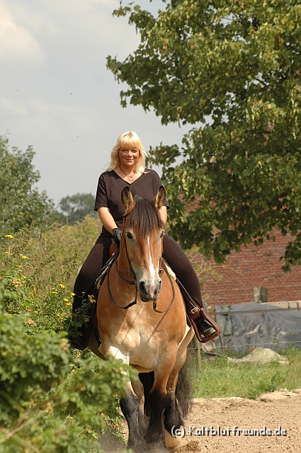 DSC_7397.JPG - Texel PETRA !)))