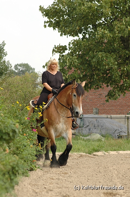 DSC_7400.JPG - Texel PETRA !)))