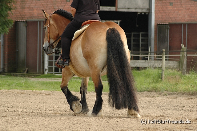 DSC_7411.JPG - Texel PETRA !)))