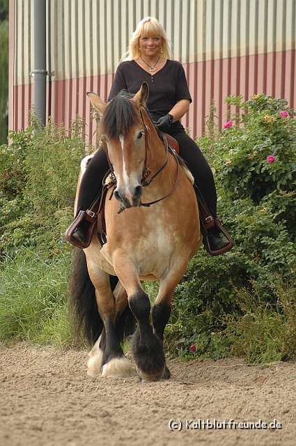 DSC_7416.JPG - Texel PETRA !)))
