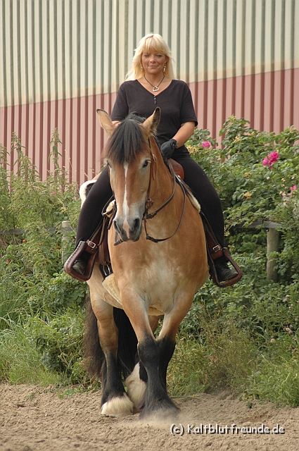 DSC_7417.JPG - Texel PETRA !)))