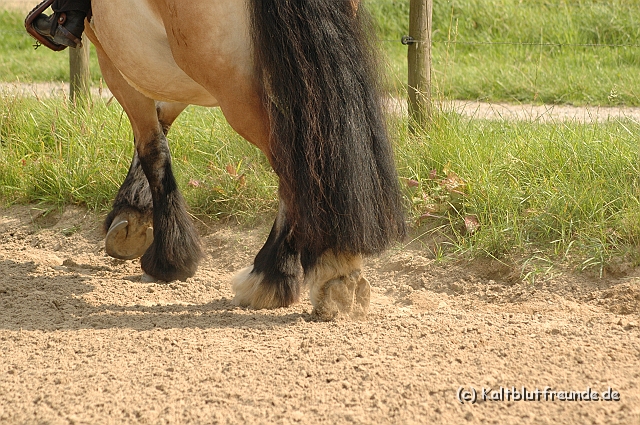 DSC_7432.JPG - Texel PETRA !)))