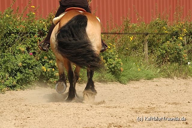 DSC_7435.JPG - Texel PETRA !)))