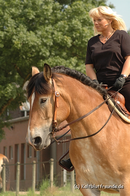 DSC_7437.JPG - Texel PETRA !)))