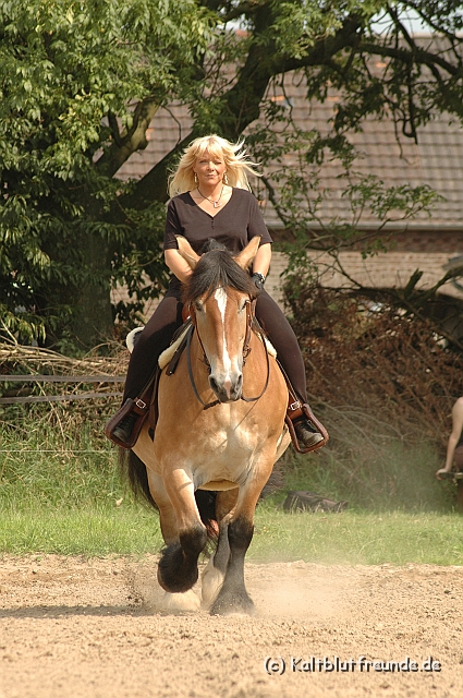 DSC_7440.JPG - Texel PETRA !)))