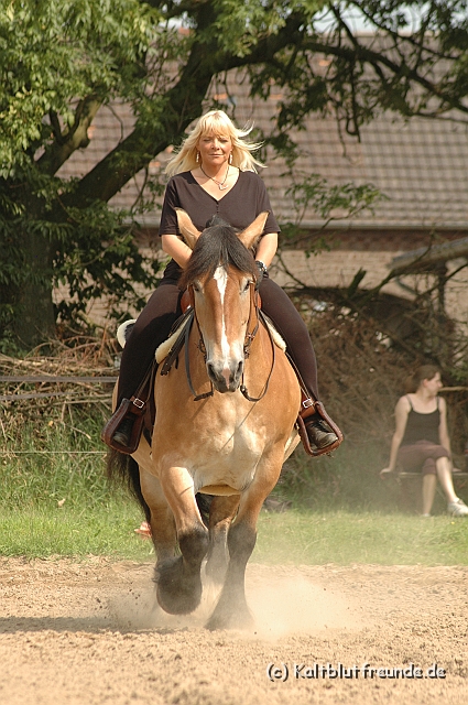 DSC_7441.JPG - Texel PETRA !)))