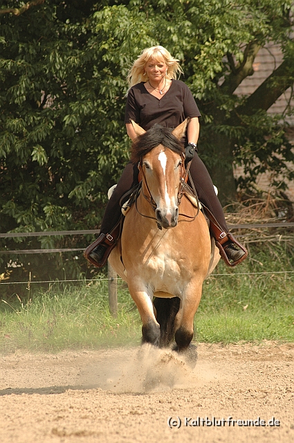 DSC_7446.JPG - Texel PETRA !)))