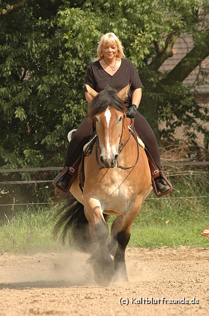 DSC_7447.JPG - Texel PETRA !)))