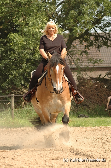 DSC_7449.JPG - Texel PETRA !)))