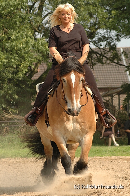 DSC_7451.JPG - Texel PETRA !)))