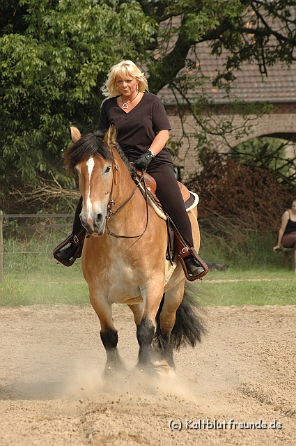 DSC_7452.JPG - Texel PETRA !)))