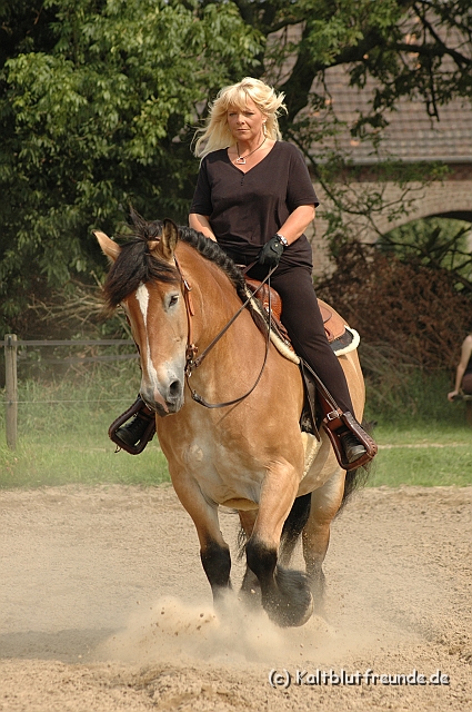 DSC_7453.JPG - Texel PETRA !)))