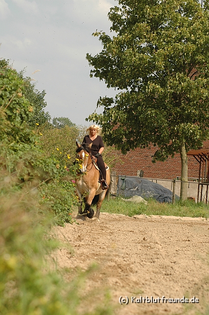 DSC_7459.JPG - Texel PETRA !)))