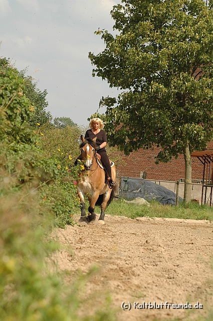 DSC_7460.JPG - Texel PETRA !)))