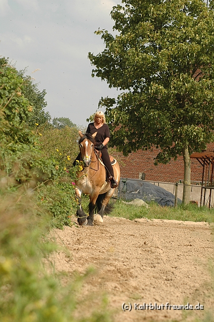 DSC_7461.JPG - Texel PETRA !)))