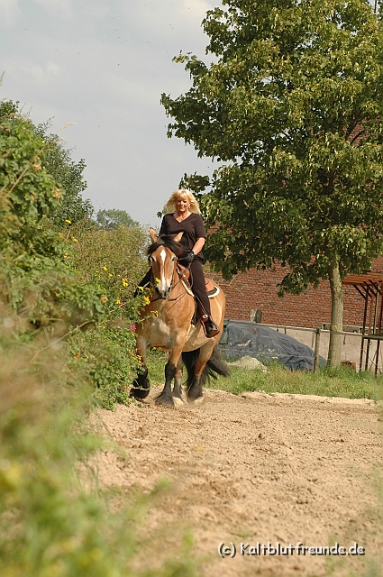 DSC_7462.JPG - Texel PETRA !)))