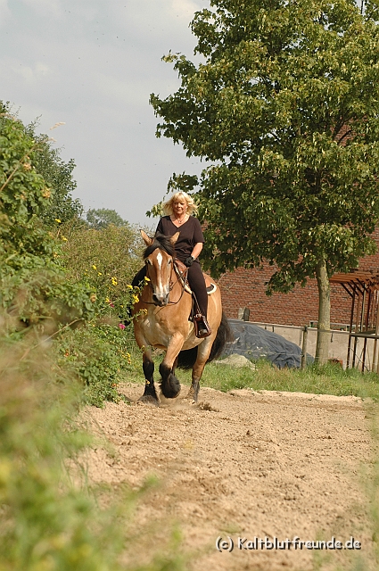 DSC_7463.JPG - Texel PETRA !)))