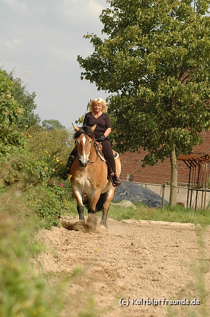 DSC_7464.JPG - Texel PETRA !)))