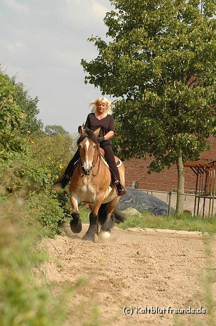 DSC_7465.JPG - Texel PETRA !)))