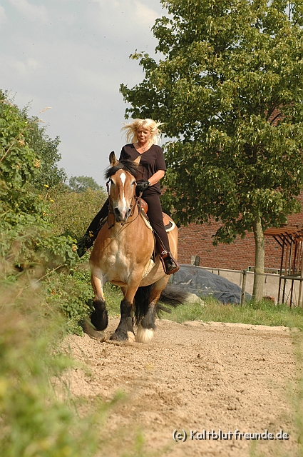 DSC_7466.JPG - Texel PETRA !)))