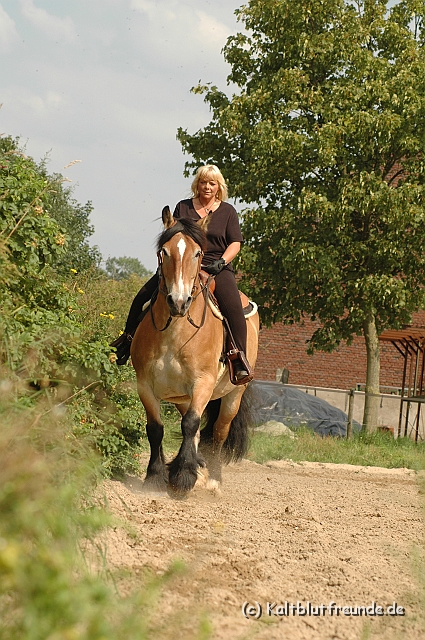 DSC_7467.JPG - Texel PETRA !)))