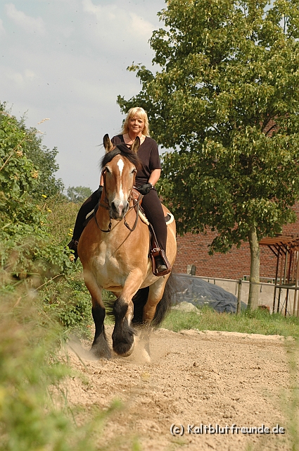 DSC_7468.JPG - Texel PETRA !)))