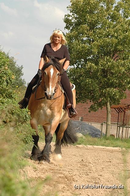 DSC_7469.JPG - Texel PETRA !)))