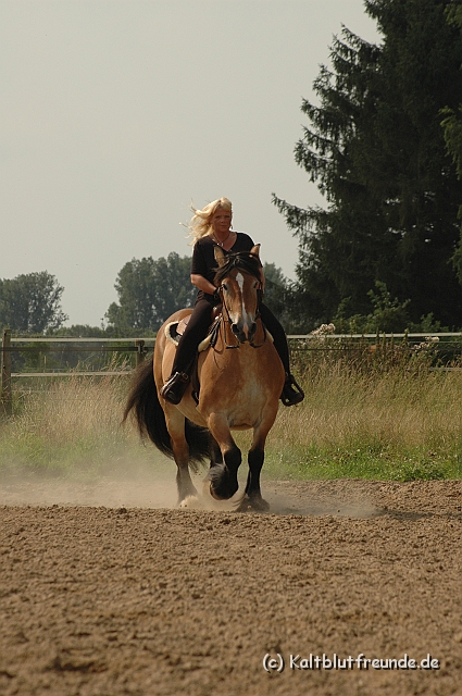 DSC_7473.JPG - Texel PETRA !)))