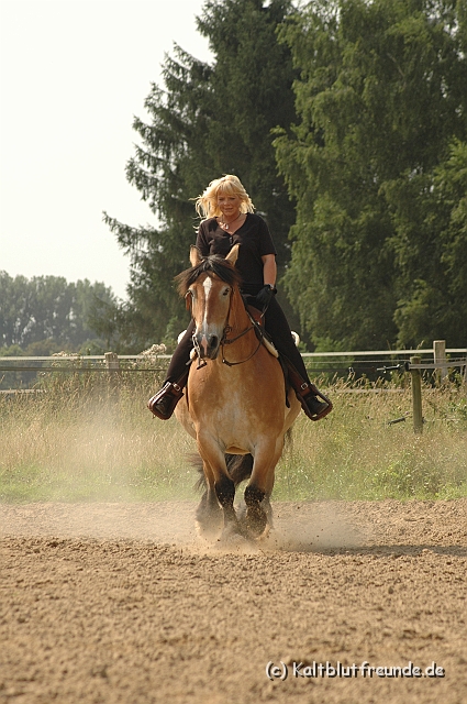 DSC_7475.JPG - Texel PETRA !)))