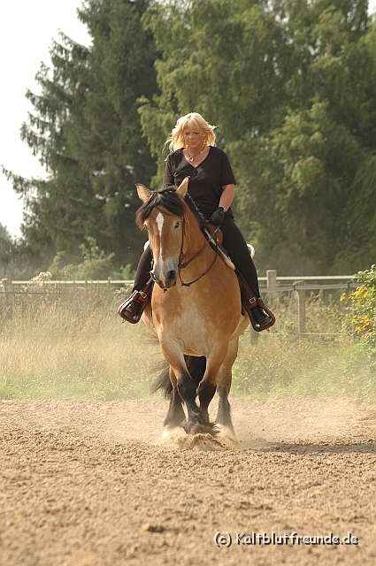 DSC_7477.JPG - Texel PETRA !)))