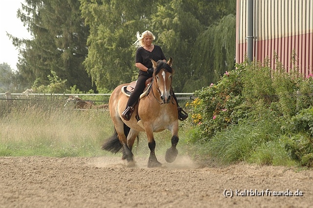 DSC_7485.JPG - Texel PETRA !)))