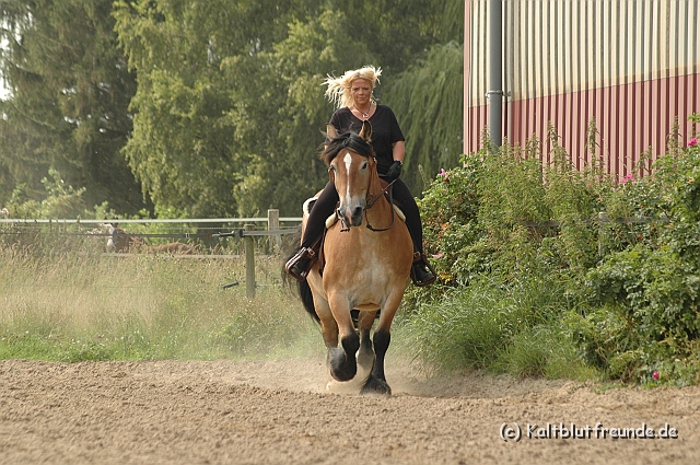 DSC_7487.JPG - Texel PETRA !)))