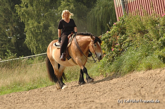 DSC_7493.JPG - Texel PETRA !)))