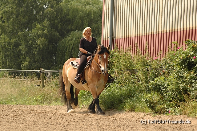 DSC_7502.JPG - Texel PETRA !)))