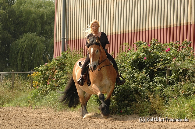 DSC_7504.JPG - Texel PETRA !)))