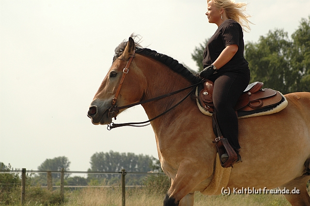 DSC_7507.JPG - Texel PETRA !)))