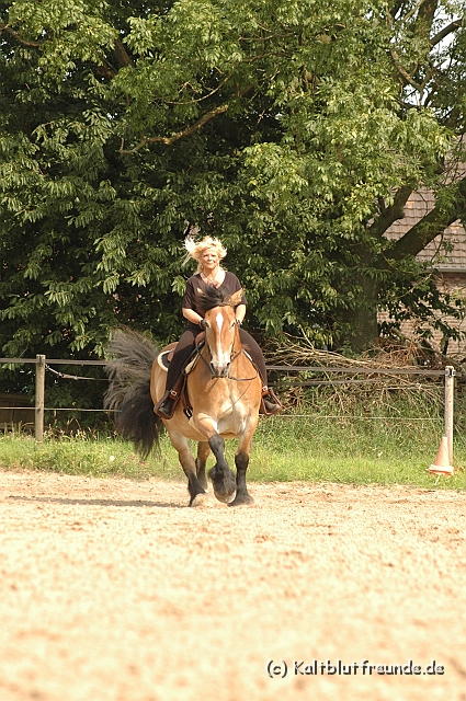 DSC_7509.JPG - Texel PETRA !)))