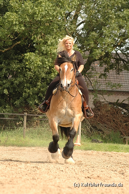 DSC_7514.JPG - Texel PETRA !)))